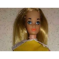 Vintage 8587-1975 Canadian TnT Barbie in original swimsuit