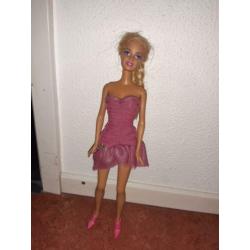 Barbies, camper, auto en extra kleding