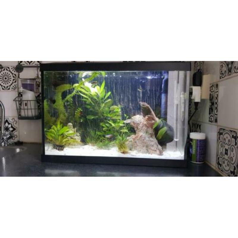 Superfish aqua 70 led