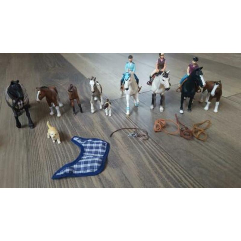 Schleich manege incl. toebehoren