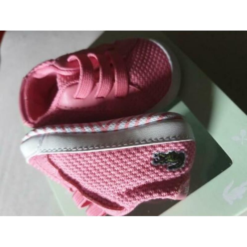 Nieuw origineel baby schoenen maat 15 Lacoste