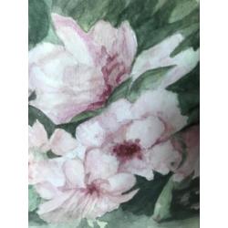 Mooi Bloem aquarel in aanbieding 42x32 cm