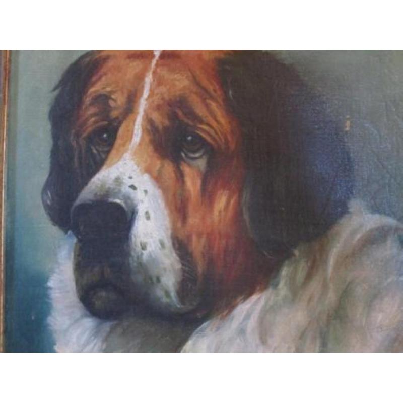 Portret hond echt geschilderd