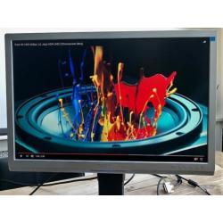 Philips Brilliance 245 P 24 inch monitor