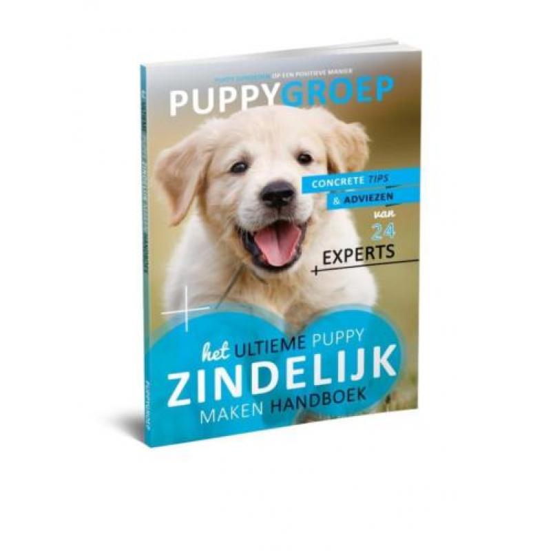 Stapsgewijze Handleiding voor het Opvoeden van je Puppy