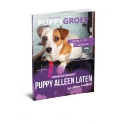 Stapsgewijze Handleiding voor het Opvoeden van je Puppy